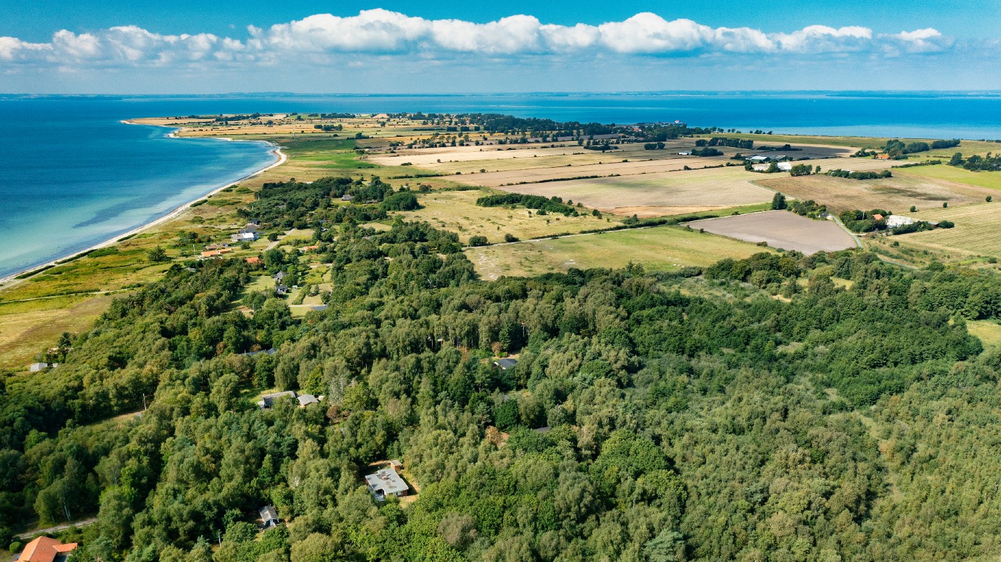 Skov og strand set fra oven